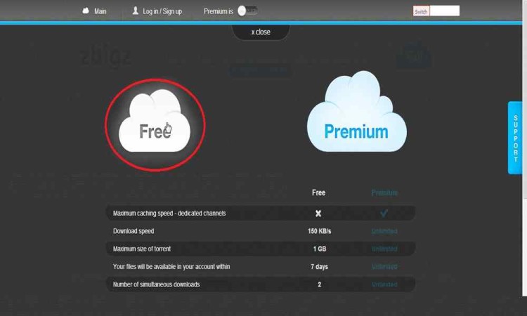 download torrent file with idm more than 5gb